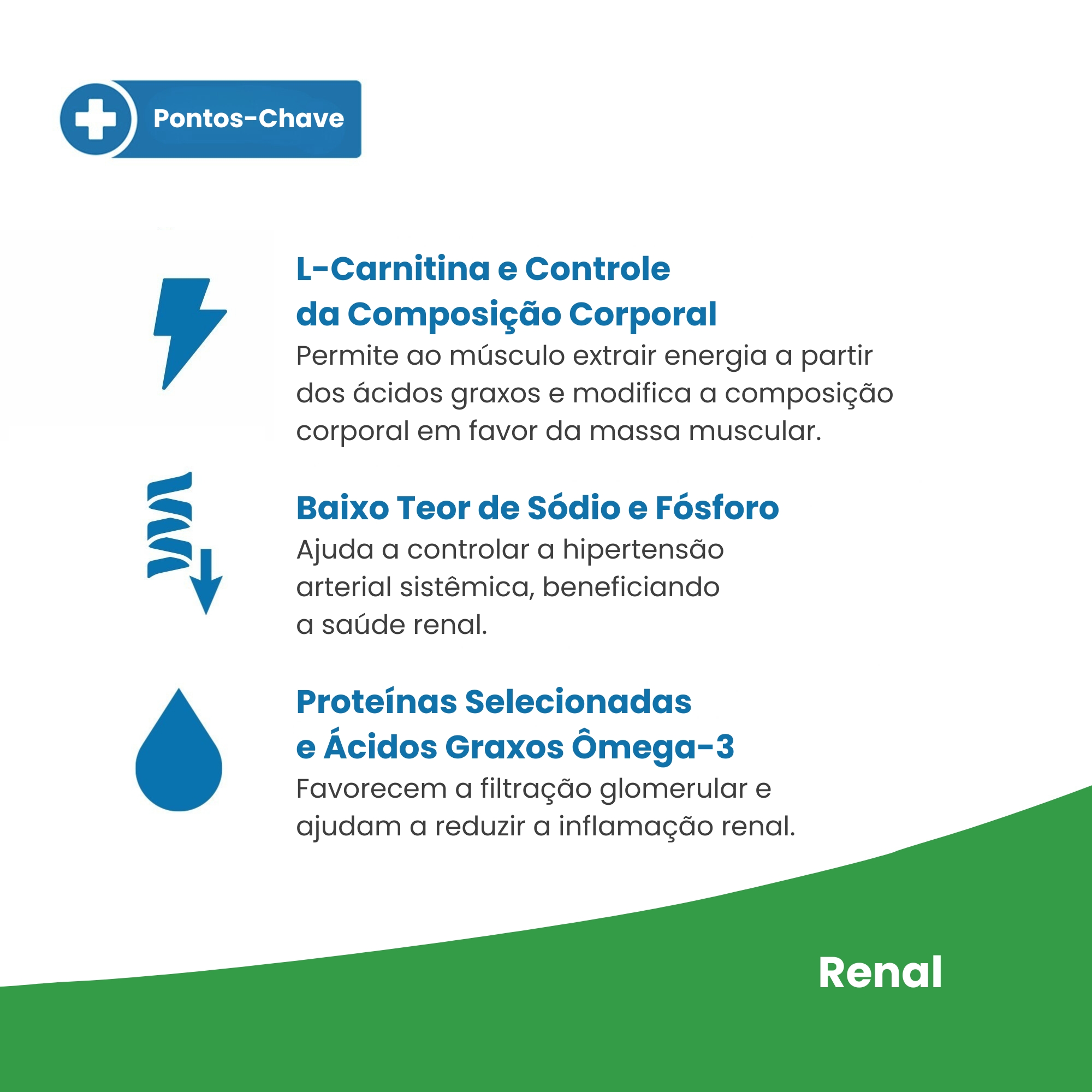 Vet Life Renal para Gatos Adultos de Toda...