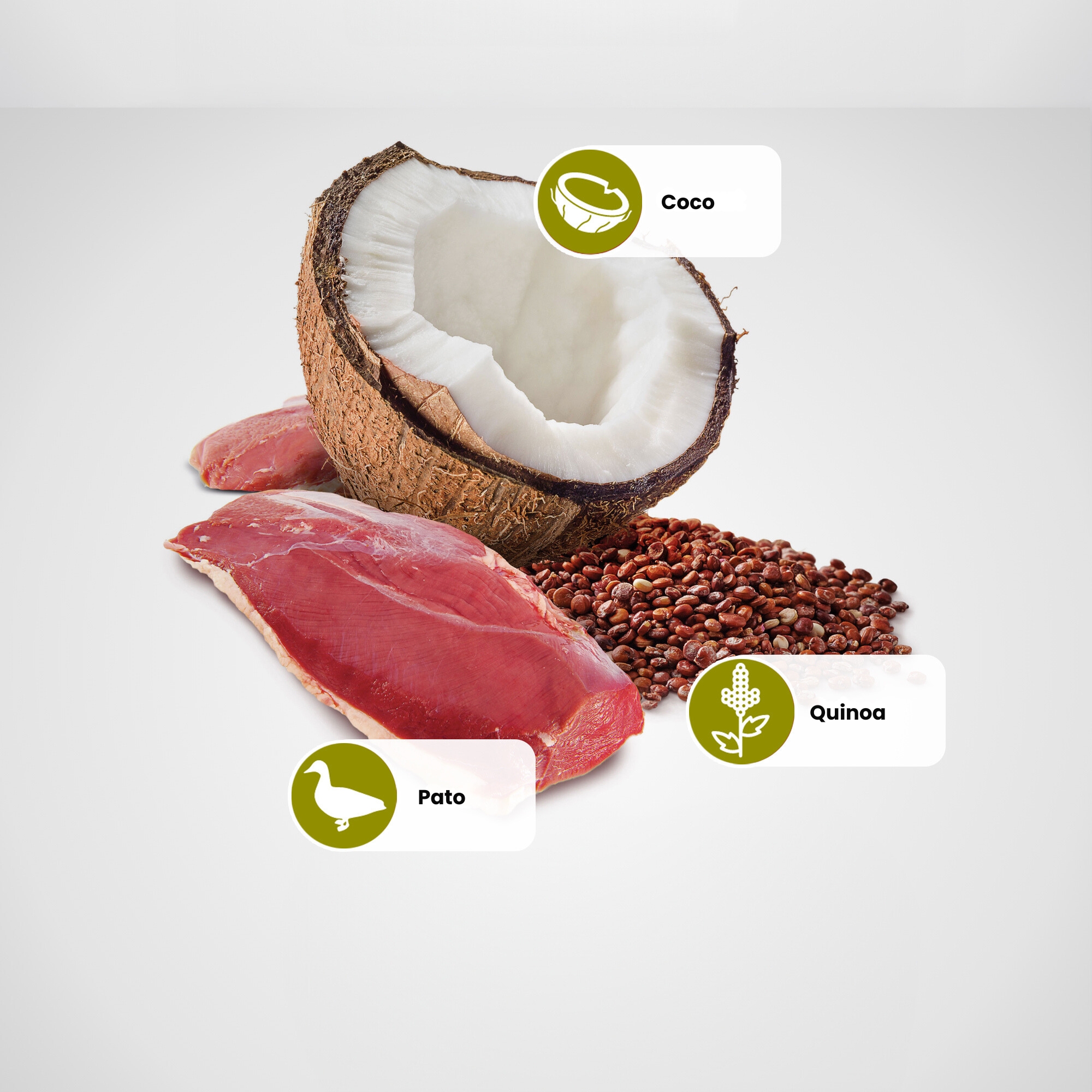 Ração Umida N&D Quinoa para Cães Adultos ...