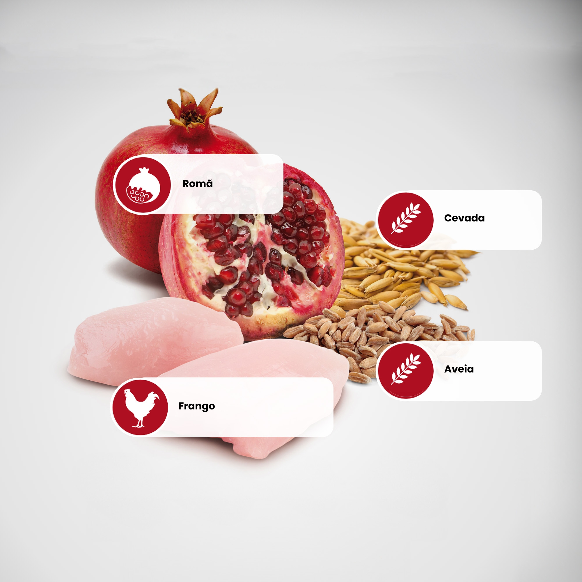 N&D Ancestral para Cães Adultos de Raças ...