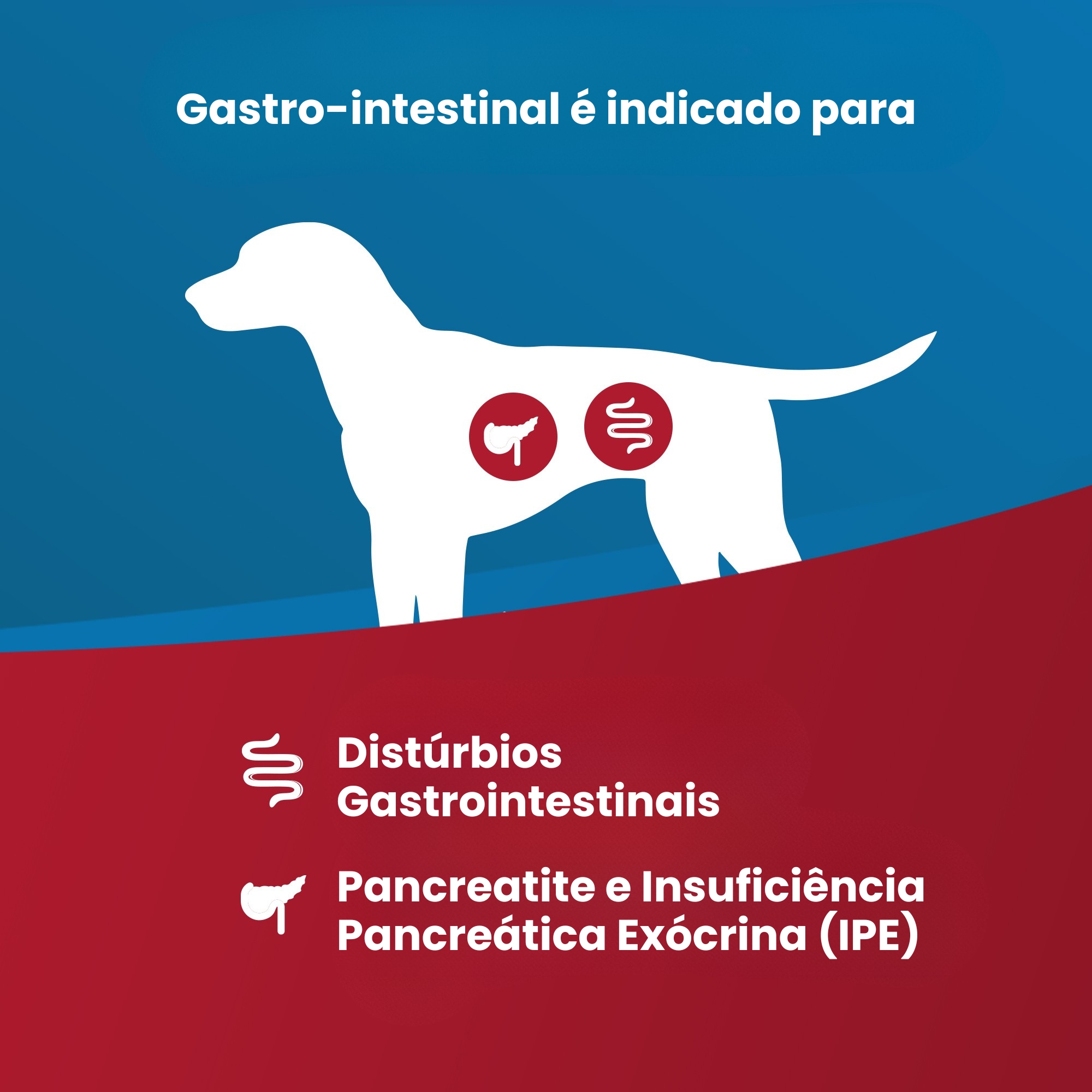 Vet Life Gastro Intestinal Cães 2Kg